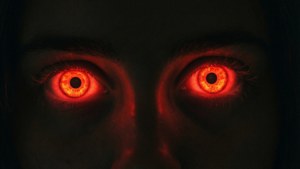 Eyes in the Dark