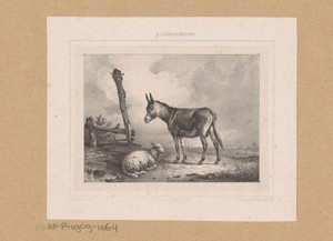 Ezel en schaap