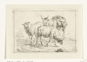 Ezel en twee schapen