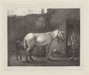 Ezel en veulen bij de hoefsmid