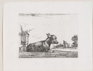 Ezel in een landschap met molen
