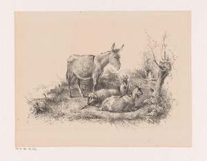Ezel, schaap en twee geiten in een landschap