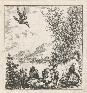 Fabel van de hond en de gier
