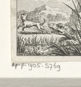 Fabel van de hond en de krokodil