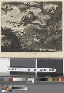 Fable II. The Vulture, the Sparrow, and Other Birds