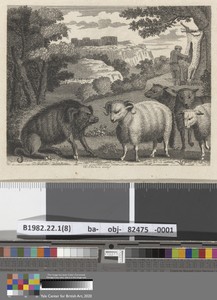 Fable V. The Wild Boar and the Ram