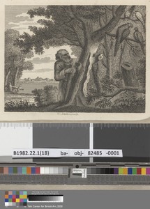 Fable XV. The Philosopher and the Pheasants
