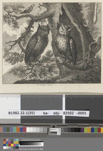 Fable XXXII. The Two Owls and the Sparrow