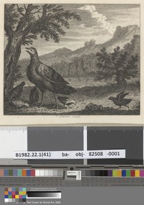 Fable XXXVIII. The Turkey and the Ant