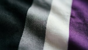 Fabric Weave