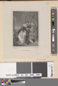 Fading Flowers