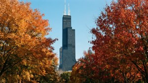 Fall Colors