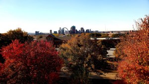 Fall Foliage from Hillman Hall