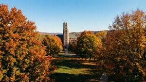 Fall on Campus
