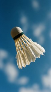 Falling Shuttle