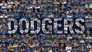 Fan Photo Mosaic Wordmark