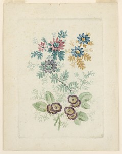 Fantastic Flower Motif from Nouvelle Suitte de Cahiers de Fleurs Idéales