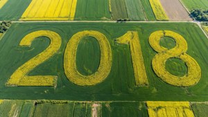 Farm Fields 2018