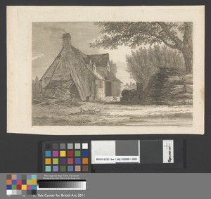 Farm Scene