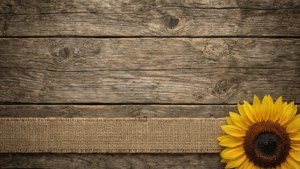 Farmhouse Rustic