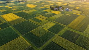 Farmland Patchwork
