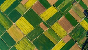 Farmland Patterns