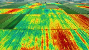 Farmland Vegetation