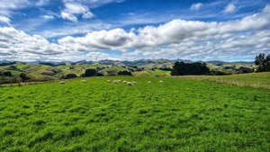 Farmlands South