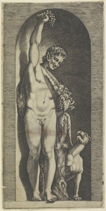Faun en tijger