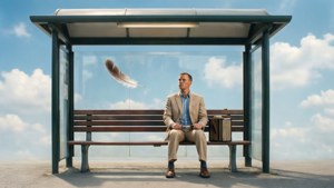 Feather at the Bench
