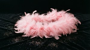 Feather Boa Elegance