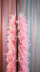 Feather Boa Pole