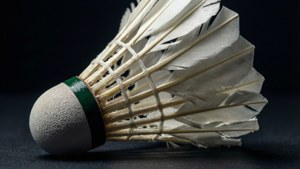 Feather Close-Up Macro