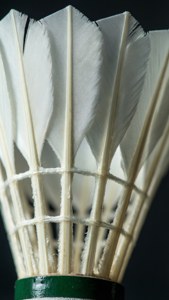 Feather Detail