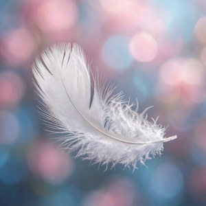 Feather in the Wind