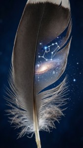 Feather of Stars