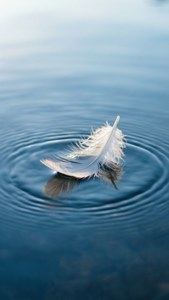 Feather on Water