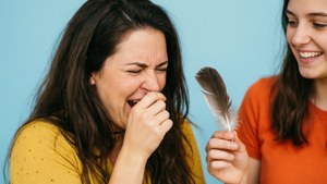 Feather Prank Sneeze