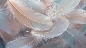 Feather Whisper Layers