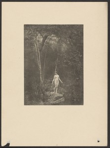 [Female Nude in Forest Setting]