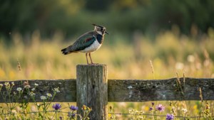 Fence Post Sentinel