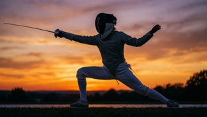 Fencing Silhouette Sunset