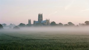 Fenland Mist