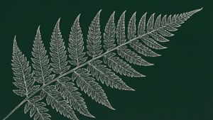 Fern Serenity