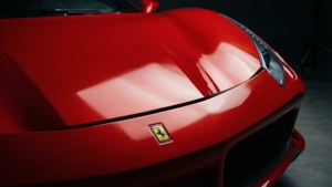 Ferrari Badge Detail