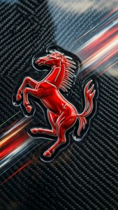 Ferrari Carbon Horse