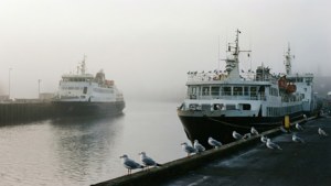 Ferry Terminal Fog