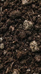 Fertile Soil Texture