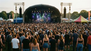 Festival at Hylands Park