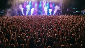 Festival Crowd Energy